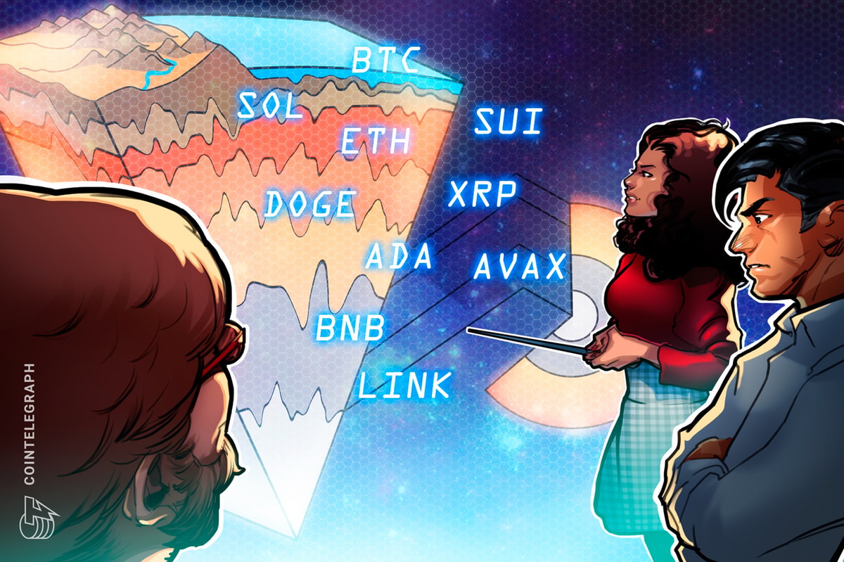 BTC, ETH, XRP, BNB, SOL, DOGE, ADA, SUI, LINK, AVAX