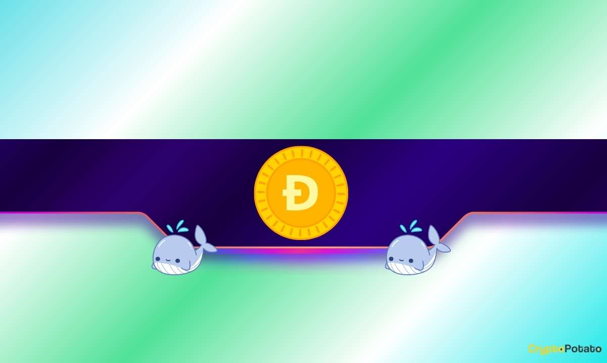 Is DOGE Poised for a Rally?
