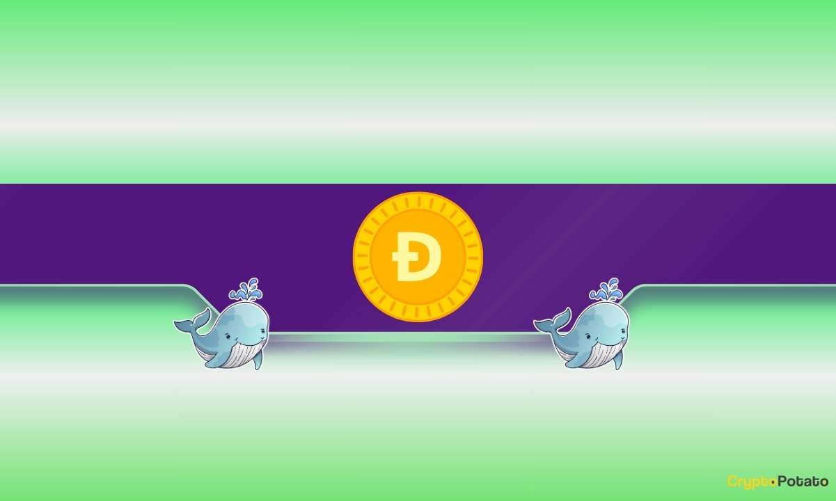 What Are Dogecoin Whales Preparing For?