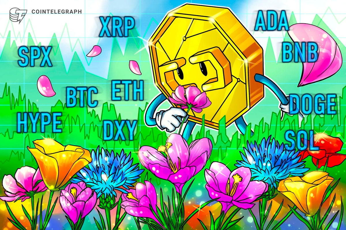 Bitcoin Liquidations Hit 1-Year Record, Altcoins Follow